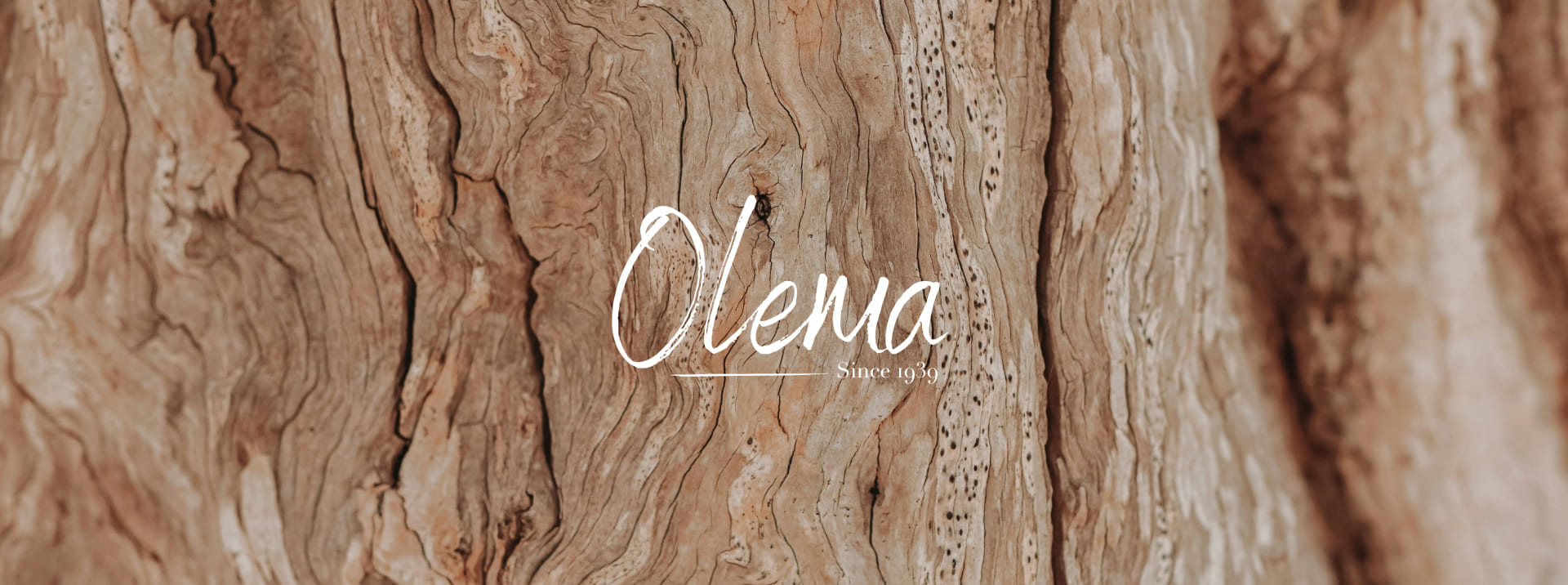 Logo Olema sur texture arbre